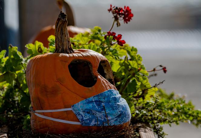 Halloween 2020 Czy Mozna Organizowac Zabawe Czy Dzieci Moga Zbierac Cukierki Obostrzenia Belchatow Super Express