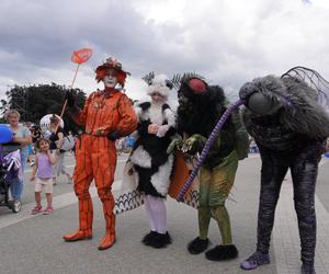 Wianki nad Wisłą w Warszawie (22.06.2024)