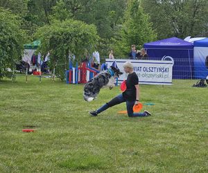 Festiwal Przyjaciół Zwierząt w Olsztynie. Park Centralny opanowały radosne pieski