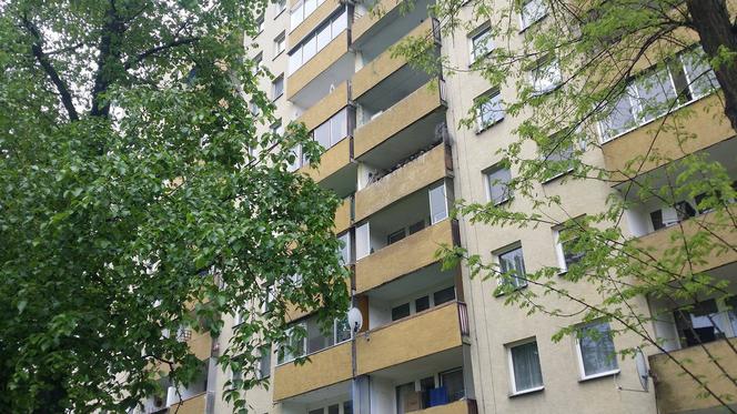 Przerażające odkrycie w Krakowie: Padłe gołębie i metrowa warstwa ptasich odchodów na balkonie [AUDIO, ZDJĘCIA]