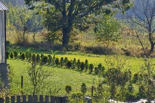 Syn zabił matkę, ranił ojca i uciekł? [GALERIA]