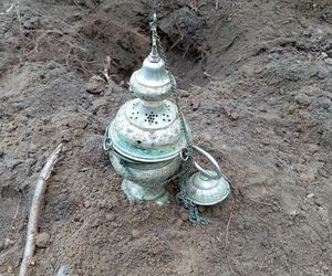 Skarb znaleziony w lesie