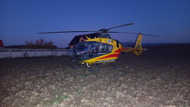 Śmiertelny wypadek pod Dzierżoniowem. Nie żyją 37- i 60-latek [ZDJĘCIA].