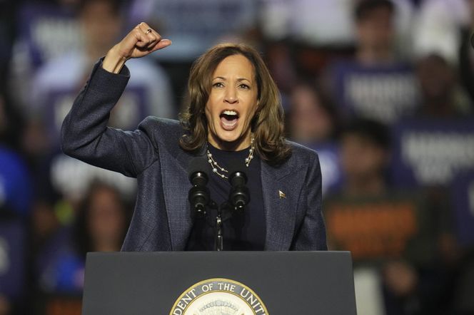 Polacy mają wyraźnego faworyta! Trump czy Kamala Harris? Wszystko jasne