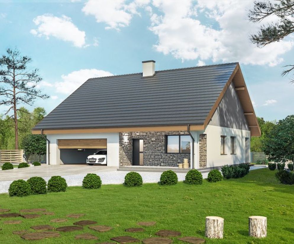 Projekt domu Miarodajny C333