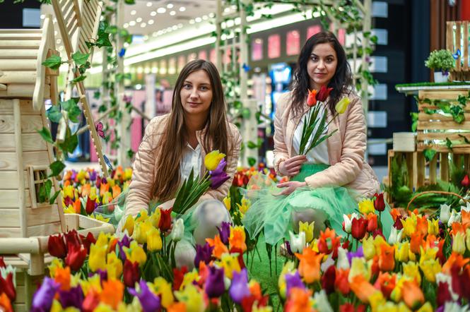 Poczuj wiosnę w Centrum Handlowym RONDO!