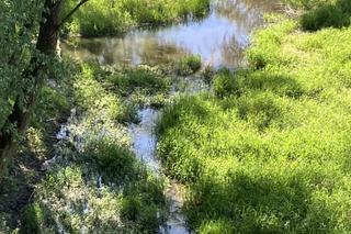 Okolice Zamku Dybowskiego nad Wisłą