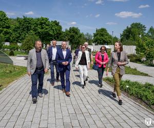 Potomek Dęba Bartka wyrośnie w Ogrodzie Botanicznym w Kielcach