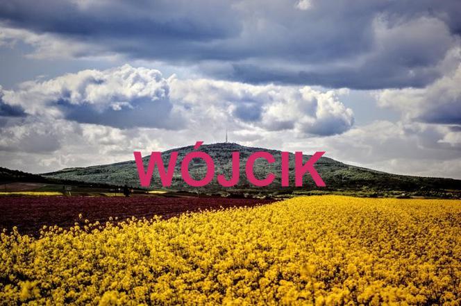 WÓJCIK