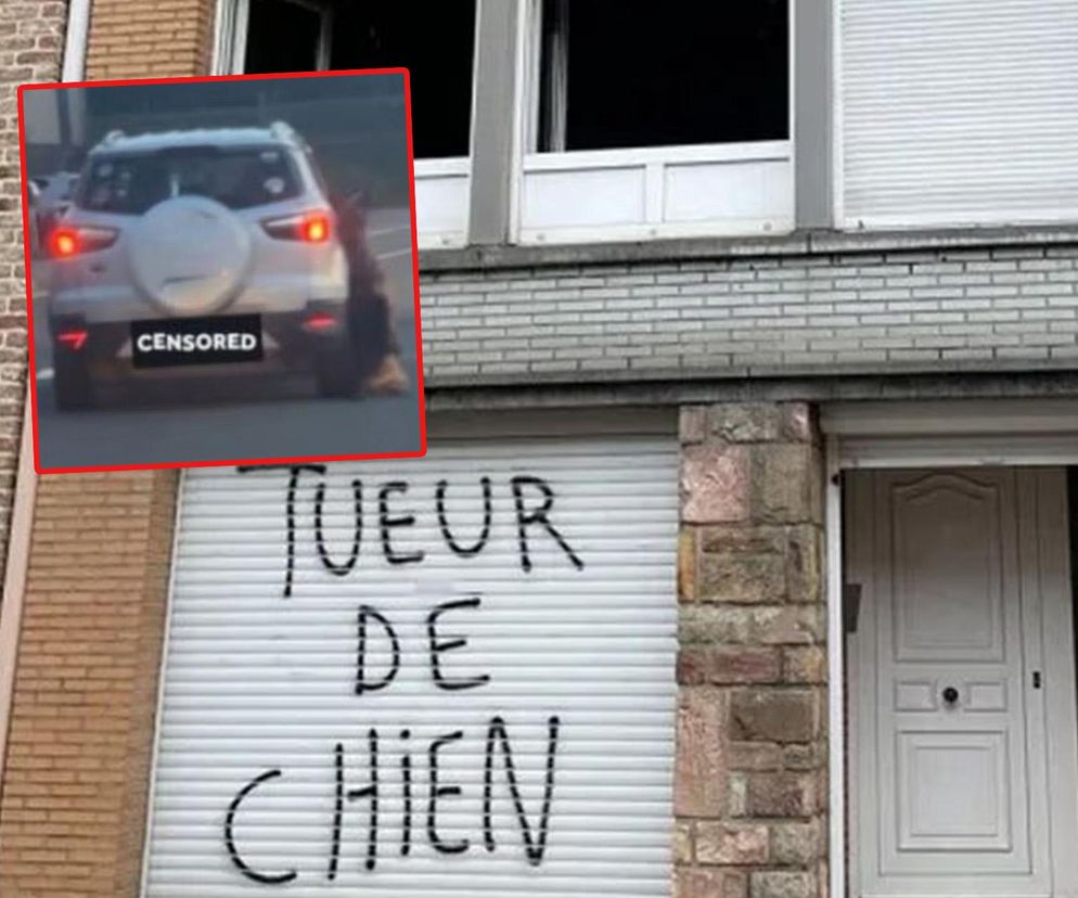 Ciągnął psa za samochodem, martwego wrzucił do bagażnika. Internauci odnaleźli go i spalili mu dom!