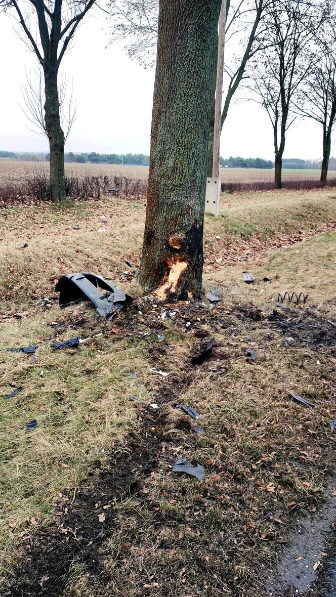 Citroen Poczty Polskiej roztrzaskał się o drzewo. 52-latek nie żyje [ZDJĘCIA]