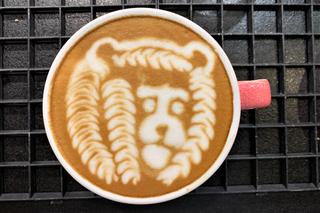 Kamil Czarnik z Tarnowa Mistrzem Polski Baristów 2022