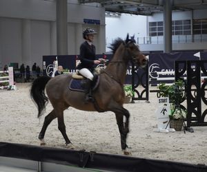 Cavaliada 2024. Pierwszy dzień rywalizacji w Poznaniu