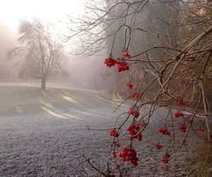 Przymrozek do -3°C, a to nie wszystko, co nas czeka. Już się zaczyna [Prognoza IMGW na 17.10.2024]