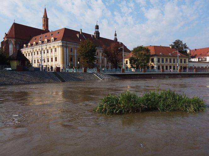 Wrocław. Fala w centrum miasta.