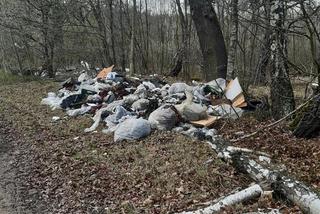 SZOK! Wyrzucili przy drodze worki z odpadami, a w środku... podpisane zeszyty