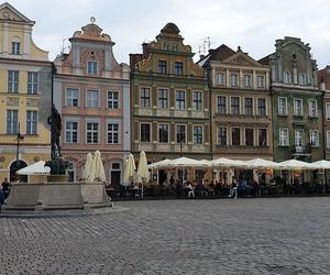 Obiekty z Poznania dostały się do wyjątkowego konkursu