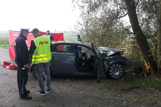 20-latek zginął w Audi. Uderzył w drzewo