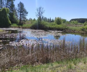 Arboretum w Kopnej Górze. Puszcza w pigułce