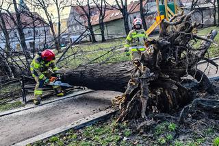 Wichura na Dolnym Śląsku. Uszkodzone dachy, powalone drzewa. Ponad 300 interwencji straży