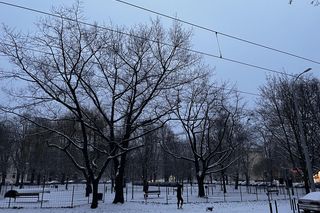 Zima szybko nie odpuści. IMGW wprost o kolejnych falach mrozu 