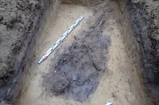 Ludzkie szczątki w lesie pod Świeciem! Szokująca szczegóły. Odnaleźliśmy znak tożsamości