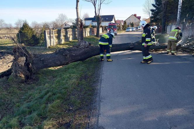 Wichury do 110 km/h atakują! Silny wiatr dotrze do Polski