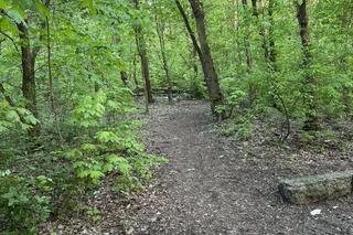 Robił obrzydliwe rzeczy na oczach dzieci! Później uciekł do lasu