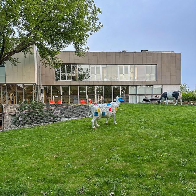 Ambasada Niderlandów w Warszawie