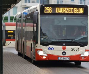 Więcej kursów, krótsze trasy! Zmiany w komunikacji miejskiej Gdańska i Sopotu od września