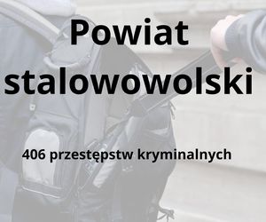 To tu na Podkarpaciu dochodzi do największej liczby przestępstw kryminalnych