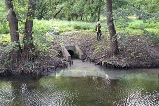 Rzeką płynęły ścieki. Co zanieczyściło Płonię w Szczecinie?