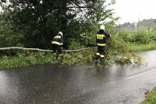 Lubelskie - silny wiatr, ponad 50 interwencji 