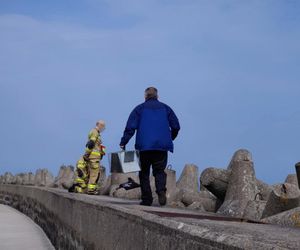 Pies uwieziony na falochronie.