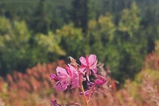 Tatry jesienią 2025
