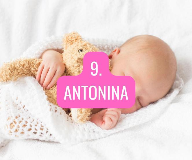 9. Antonina