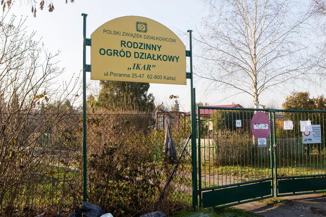 1000 zł za głowę kociego mordercy