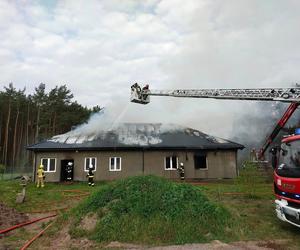 Pożar stolarni pod Nasielskiem