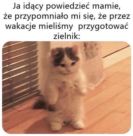 Memy na początek roku szkolnego 2023/24. Uczniowie śmieją się z powrotu do szkół
