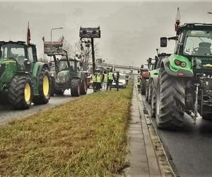 Wielkie protesty rolników nie pomogły? Nie ma szans na wyższe ceny zbóż