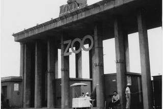Zoo we Wrocławiu ma już 155 lat