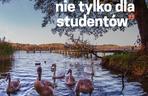 Głosowanie na darmowe wycieczki po Olsztynie
