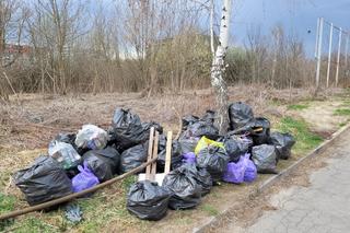 Mieszkańcy wzięli sprawy w swoje ręce i posprzątali Górkę Narodową. Pomogło im MPO