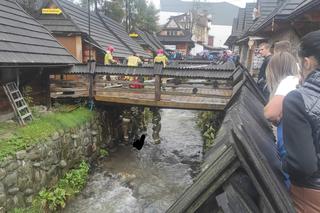 Zwłoki mężczyzny wyłowione z potoku. Makabryczne znalezisko w Zakopanem