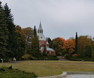 Cmentarz to nie wybieg dla psów