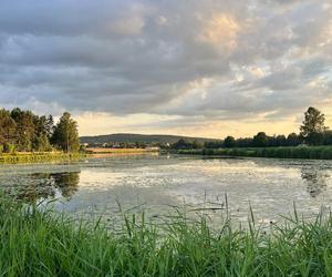 Szukacie ciszy i spokoju nad wodą? Zalew Umer to świętokrzyska oaza