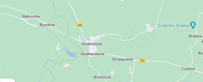 15 miejsce: Działoszyce (powiat pińczowski)