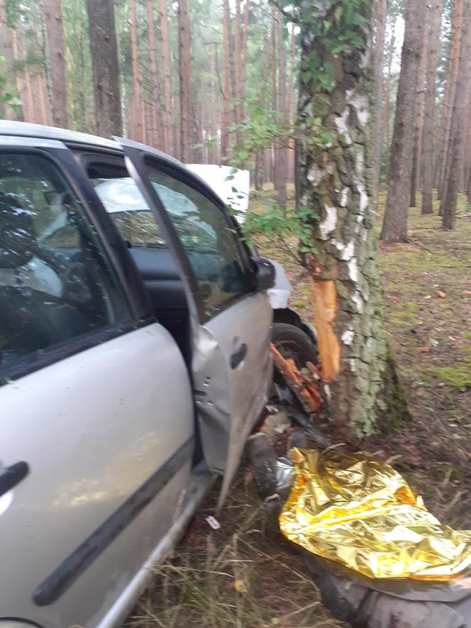 Tragedia w Wielkopolsce. Samochód rozbił się na drzewie 