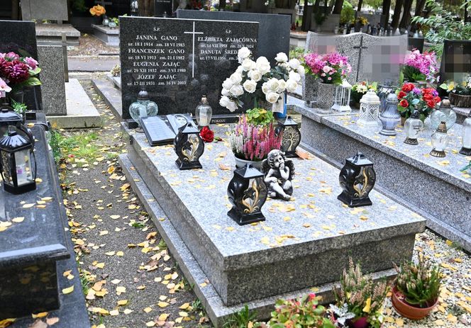 Elżbieta Zającówna