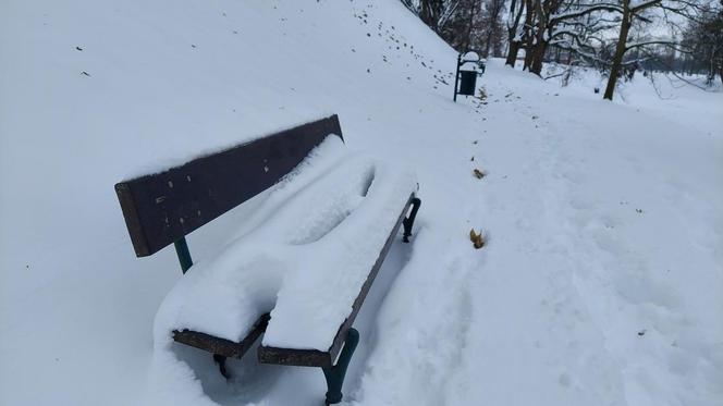 Zamojski Park pod śniegiem